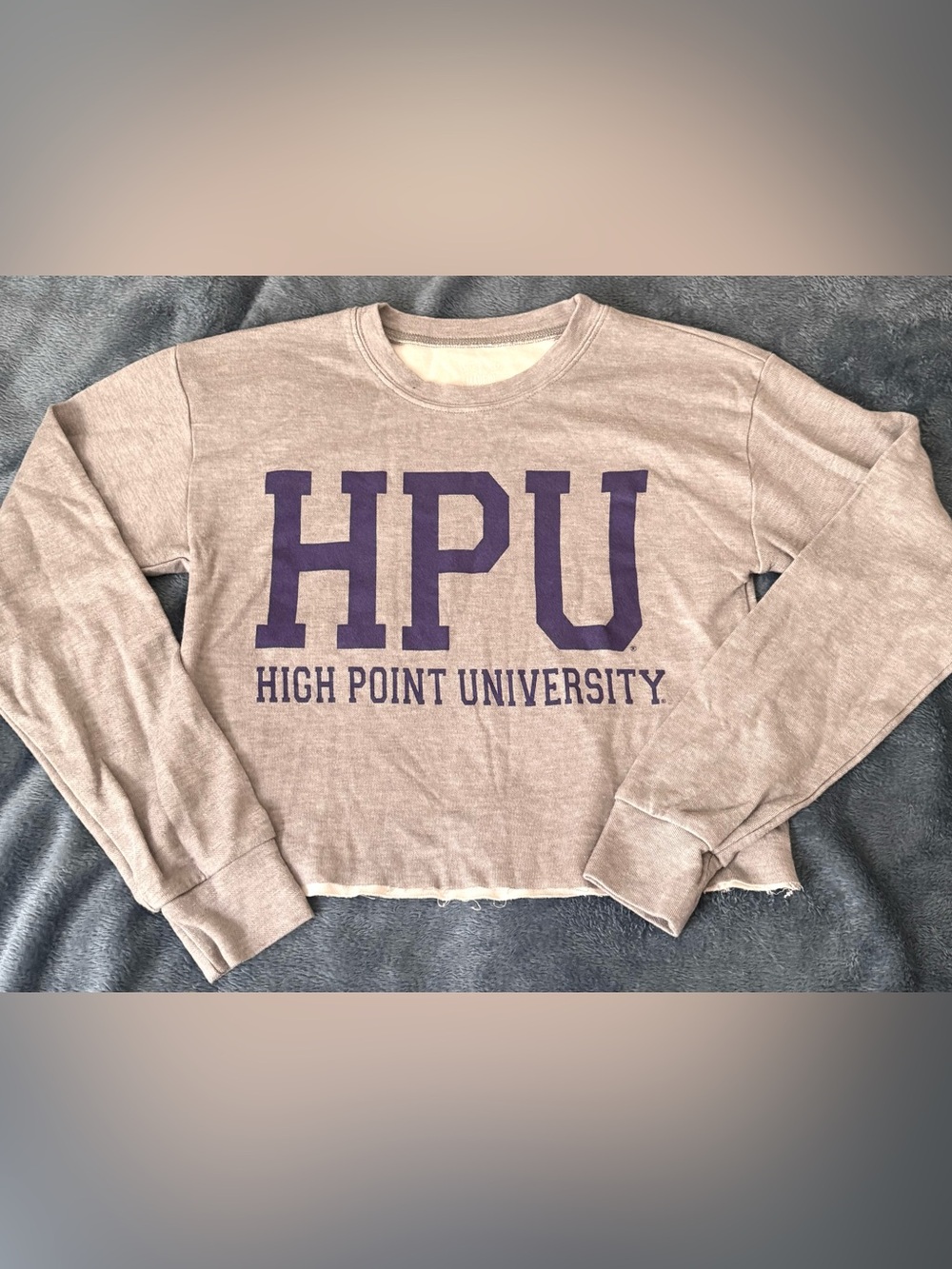 HIGH POINT UNIVERSITY S Cropped Crewneck Sweatshirt - U-TRAU brand HPU Logo NWOT